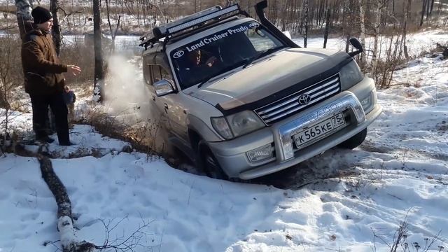 Land Cruiser Prado, UAZ Patriot, Surf, Carib, Нива Бронто. Покатушка по лесу. Off-Road