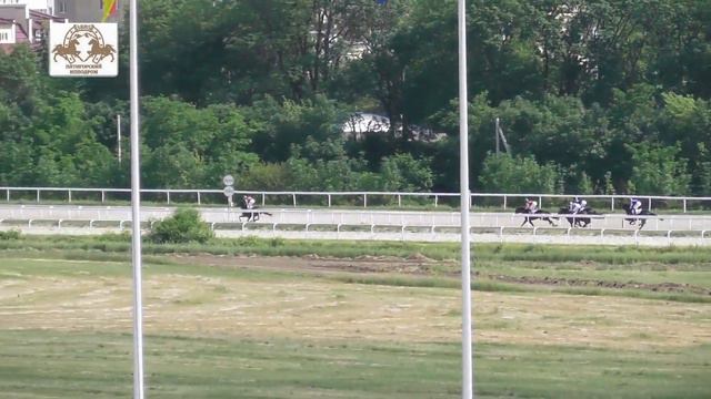 14.06.2020 - Приз в честь победителя приза Президента РФ жеребца Хорезма - Флавтесс смотреть онлайн