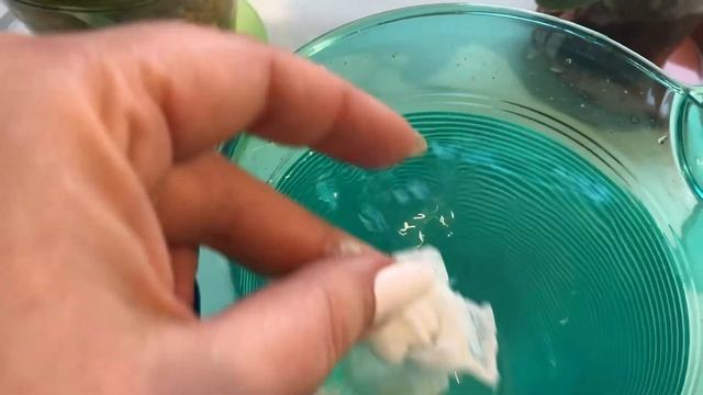 ЧЕСНОЧНАЯ ВОДА ДЛЯ ПОЛИВА ОРХИДЕЙ смотреть онлайн