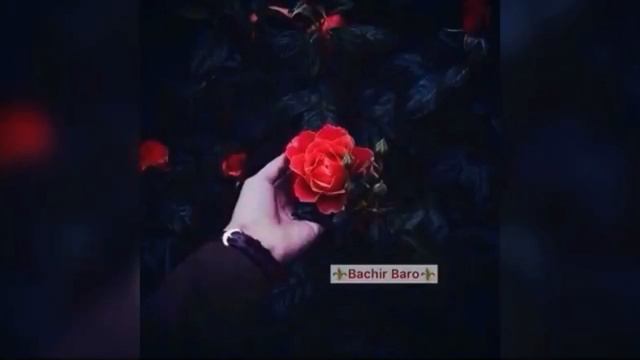 Душевная мелодия🥰 эту мелодию ищут все 2021 смотреть онлайн