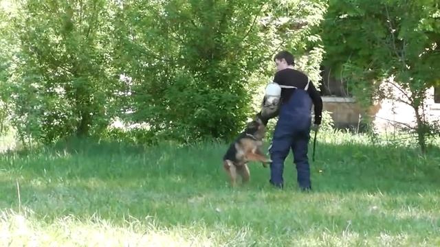 Сюзи ЗКС Задержание смотреть онлайн