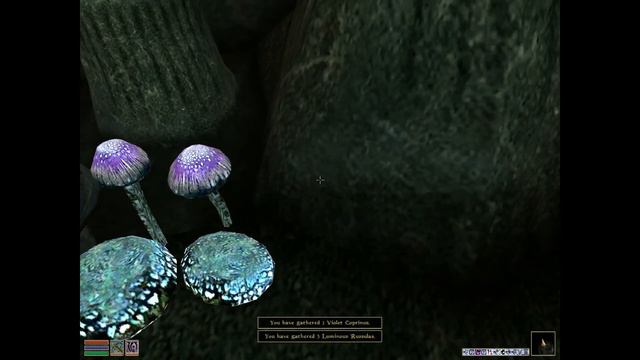TES III: Morrowind, Completionist #199 смотреть онлайн