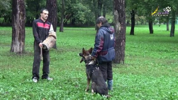 Артём Литаврин