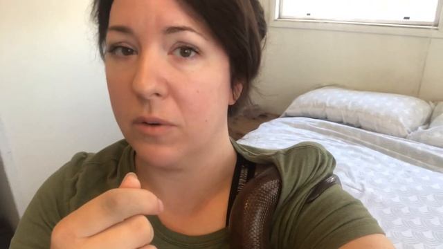 What To Do If Your Pet Snake Bites You (Violet bit me!) смотреть онлайн