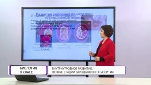 Биология. 9 класс. Внутриутробное развитие. Первые стадии зародышевого развития /16.04.2021/
