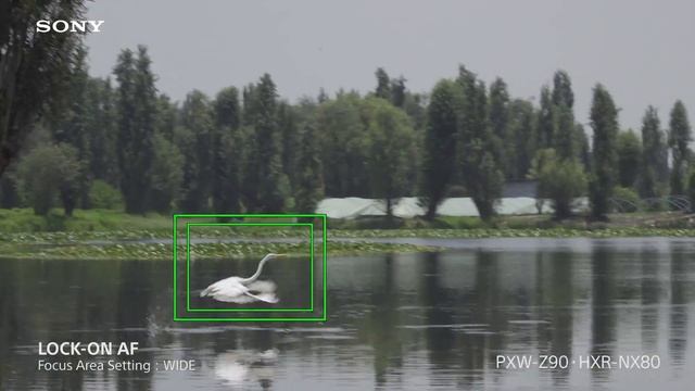 Sony Z90 / NX80 | Tracking Auto Focus смотреть онлайн