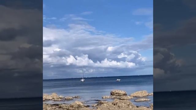 Прошлое лето на океане, ☀️ свобода чувств и эмоций, Мудрее всего — время, ибо оно раскрывает все. смотреть онлайн