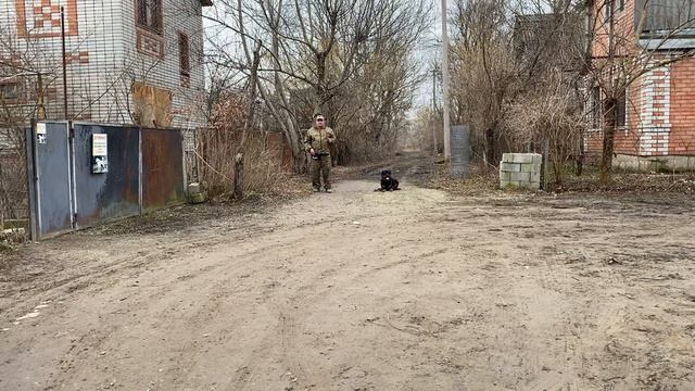 Дрессировка Ротвейлер 10 месяцев Барри! смотреть онлайн