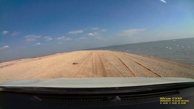 Чайки на море смотреть онлайн