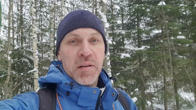 Прогулка в зимний лес 5 февраля 2022 смотреть онлайн