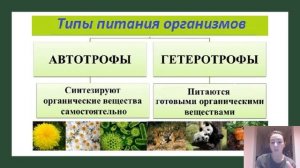Типы питания. Гетеротрофия и автотрофия.