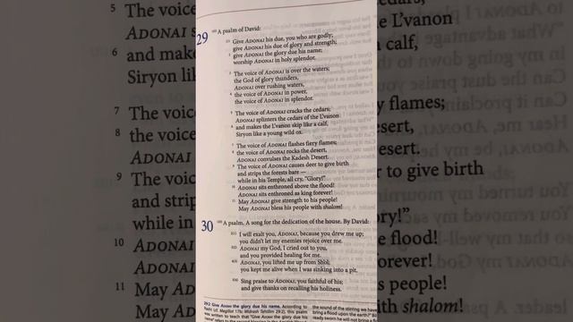 Psalms (Tehillim) 29 | Tanakh/Old Testament | Audio Bible | CJB | Complete Jewish Bible смотреть онлайн
