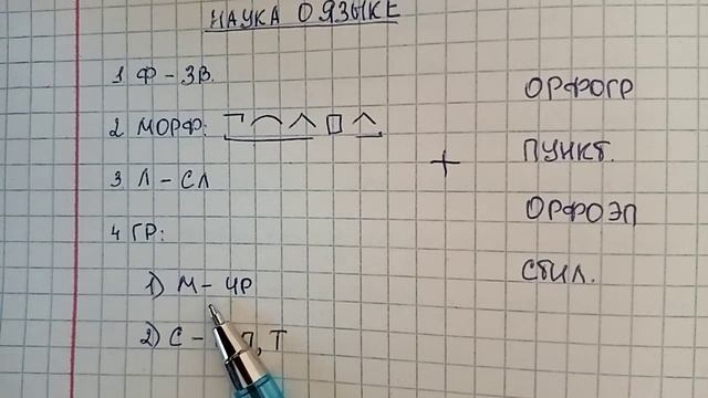 Что такое языкознание, или лингвистика, какие разделы науки о языке оно включает смотреть онлайн
