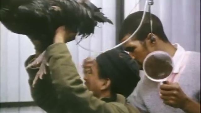 Oh Schucks... It's Schuster! 1989 FULL MOVIE HD - Leon Schuster - Hidden Camera Pranks South Africa