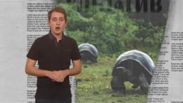 Факультатив - 28_02 смотреть онлайн