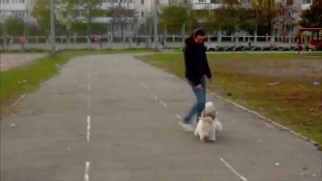 Дрессировка смотреть онлайн