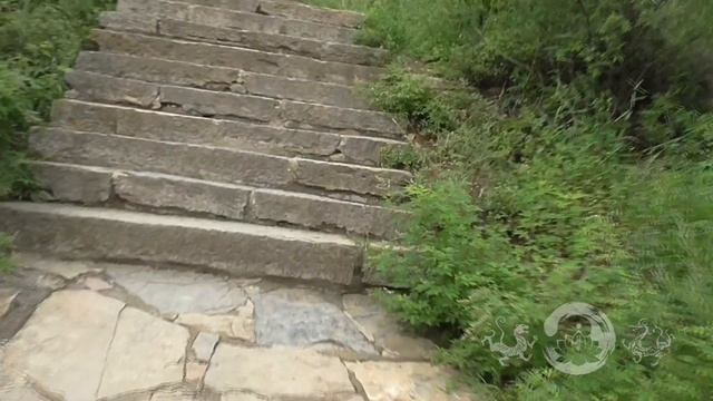 ПУТЕШЕСТВИЕ К ПЕЩЕРЕ ДАМО | Путешествия с Ши Синпином смотреть онлайн