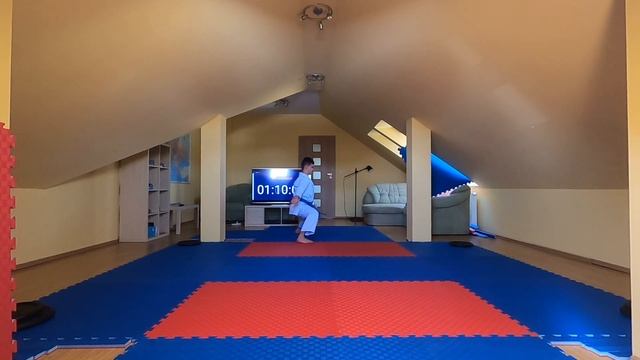 Wojciech Niedziela Gankaku - U17 Round 2 Sportdata e-Tournament World Series - Kata #2 смотреть онлайн
