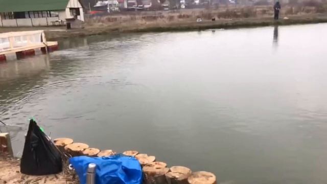 Мисайлово - клев продолжается