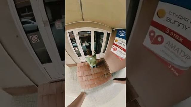 Как пройти в офис Viza Prom смотреть онлайн