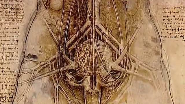 Secrets of Drawing - Leonardo da Vinci смотреть онлайн