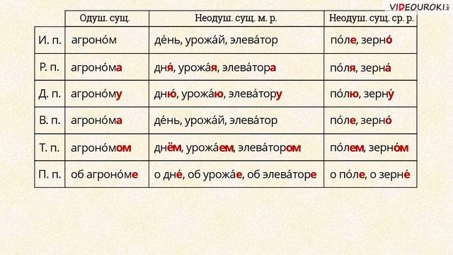 Падежные окончания имён существительных 2 го склонения смотреть онлайн