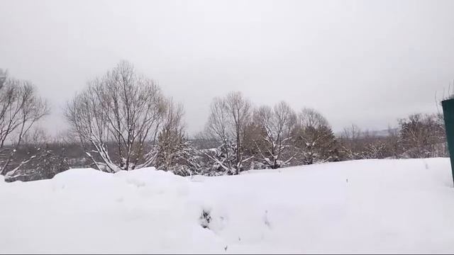 "Село Чаадаевка - настоящее и будущее". О погребах и воде в селе. смотреть онлайн