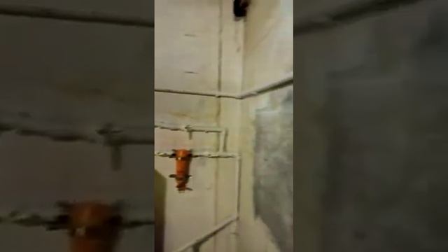 Винтовой компрессор Berg ВК 11Р-10 смотреть онлайн