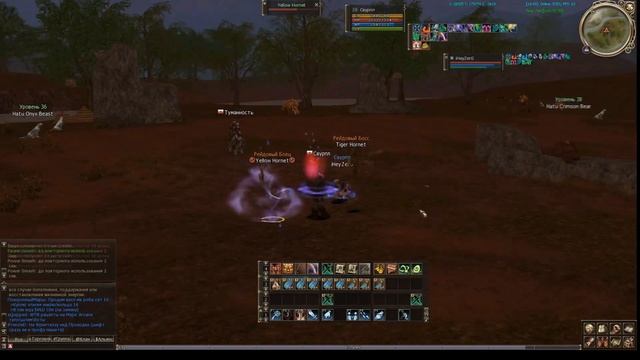 (26 ур) Tiger Hornet (Рейдовый босс #21) Lineage II смотреть онлайн