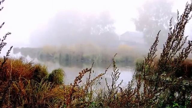 "Родники"..... смотреть онлайн