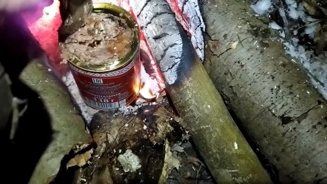 Выжить в Зимнем лесу. Морозная Ночь у Костра Без Спальника. Ночевка в Зимнем лесу смотреть онлайн