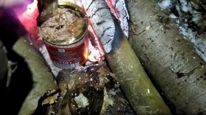 Выжить в Зимнем лесу. Морозная Ночь у Костра Без Спальника. Ночевка в Зимнем лесу