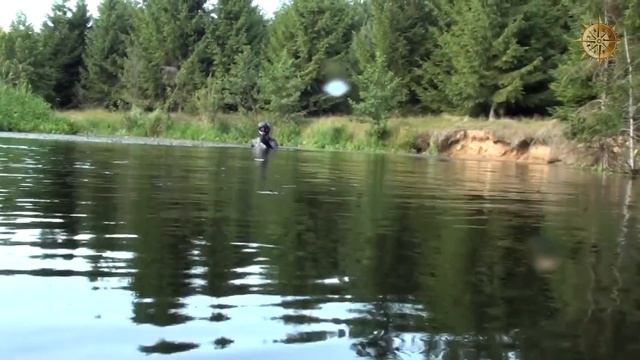 МАЛЫЕ РЕКИ ПОДВОДНАЯ ОХОТА. ЩУКА смотреть онлайн