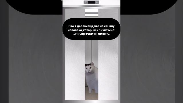 У КОГО ТАК БЫЛО????????? смотреть онлайн