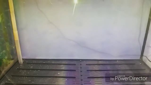 ОБЗОР АКВАРИУМА НЕ ДЛЯ РАСТЕНИЙ Фальшдно Биофильтр Освещение смотреть онлайн