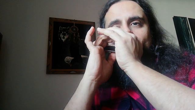 Harmonica Jam - Free Bird Intro - Lynyrd Skynyrd смотреть онлайн