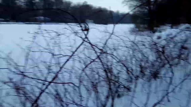 VID 20220127 094556 Любовь 1914 ( Н. Гумилёв)...Павел Васильев Лахтинский смотреть онлайн