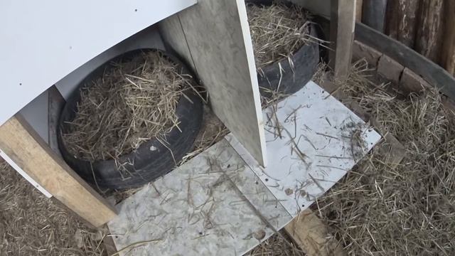 гнёзда для тульских гусей смотреть онлайн