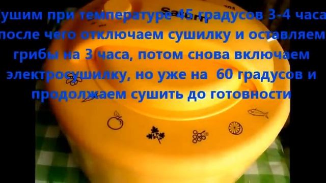 Заготовка лесных грибов на зиму смотреть онлайн