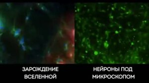 Вселенная внутри нас...