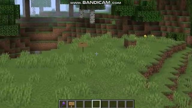 как приблизить камеру в майнкрафт смотреть онлайн