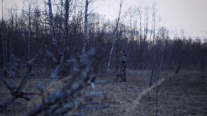 На весенней тяге вальдшнепа