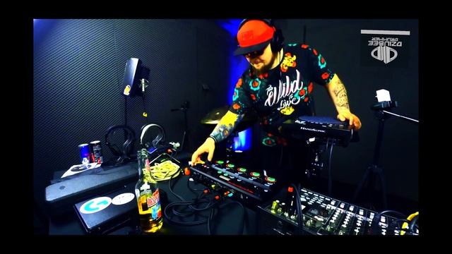 Live Looping Boss RC-505 Handpan 2.7K Roland Handsonic HPD 20 - Dziubee Drummer Zoom H6 смотреть онлайн