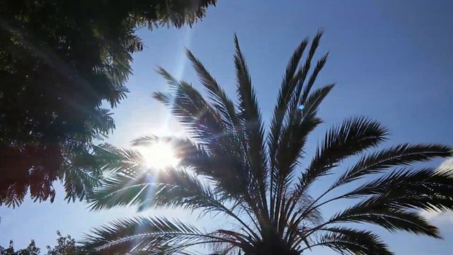 #shorts/Солнышко вызывали?! 😀😀😀 смотреть онлайн