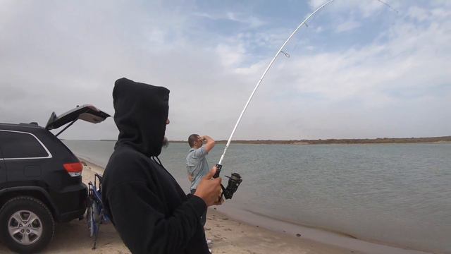 Black drum caught at South Padre Island смотреть онлайн