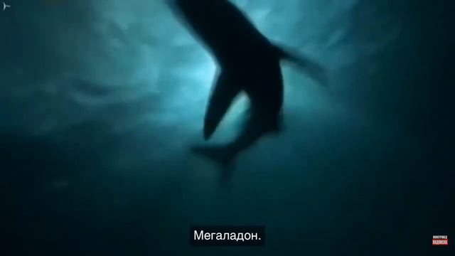 Бой монстров на арене турнира все бойцы смотреть онлайн