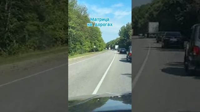 #meme #memes смотреть онлайн