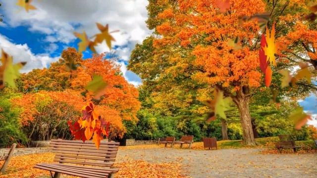 Осенний детский хит.Листик-листик листопад. смотреть онлайн