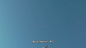 Сравнение  стилей  полёта  голубей,  разных  голубеводов.