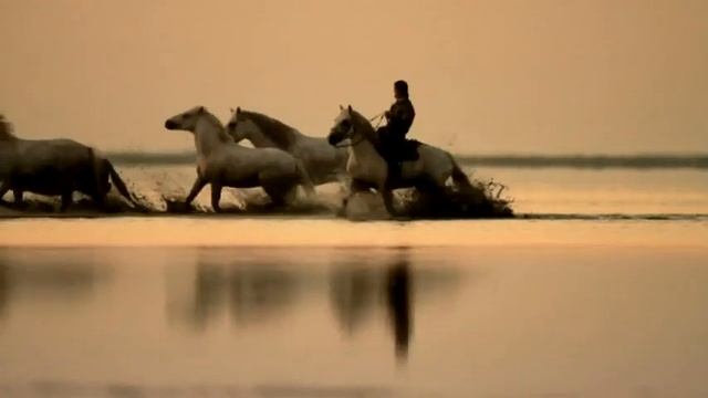 EOS 7D TV Commercial Take Stories смотреть онлайн